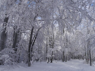 śnieżna, piękna, biała zima krajobraz w Beskidach - 463652515