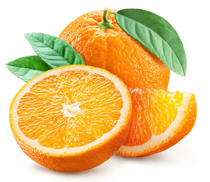 オレンジの断面 の画像 19 4 件の Stock 写真 ベクターおよびビデオ Adobe Stock