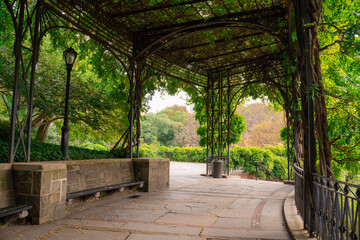 Naklejka premium View from Central Park, New York City, Manhattan of scenic wisteria pergola at the Conservatory Garden.