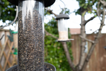 Close-up of a recently filled up bird feeder seen in an outdoor location. Used to help feed wild birds.