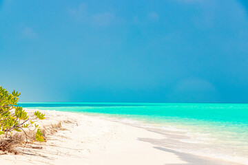 Natural tropical turquoise sandbank islands Madivaru Finolhu Rasdhoo Atoll Maldives.