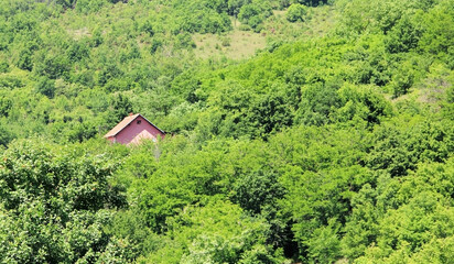 Fototapeta na wymiar A small pink house surrounded by greenery in the village of Valac in Kosovo