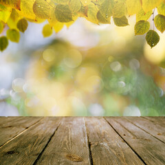 Early Autumn in the city park