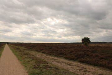 landscape with a sky
