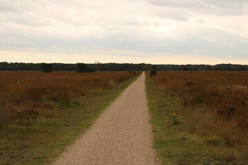 road in the field