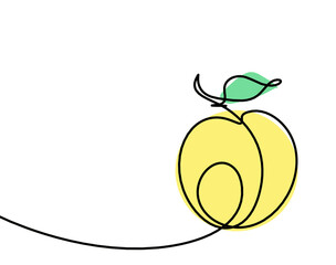 Drawing line apricot (peach, nectarine, plum) on the white background. Vector