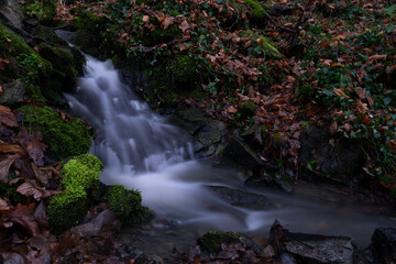 smooth motion of wild water in a river in summer with rocks and stones in the beautiful nature of a forest
