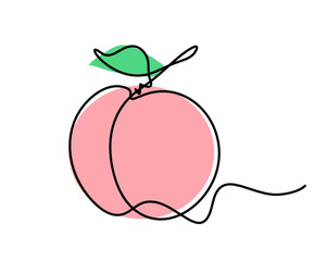 Drawing line apricot (peach, nectarine, plum) on the white background. Vector