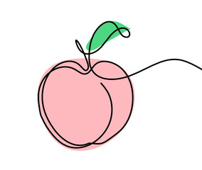 Drawing line apricot (peach, nectarine, plum) on the white background. Vector