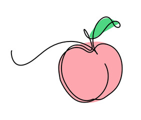 Drawing line apricot (peach, nectarine, plum) on the white background. Vector