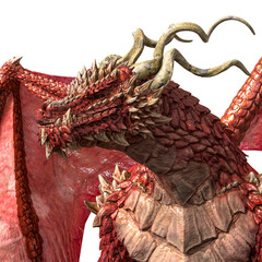 dragon king id portrait side view