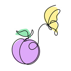 Drawing line apricot (peach, nectarine, plum) on the white background. Vector