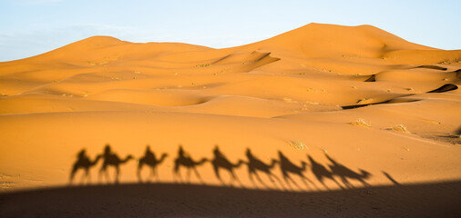 Obraz na płótnie Canvas Shadow of tourists caravan riding dromedaries through sand dunes in Sahara desert near Merzuga in Morocco - Wanderlust travel concept with travelers on camel trip adventure tour - Warm filter