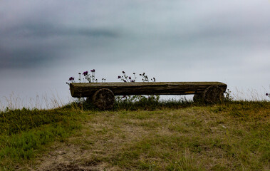 A bench made of round timber placed on a windswept vantage point