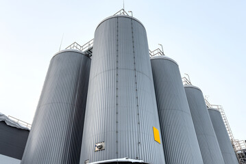 Silos for storing wheat and other grain crops