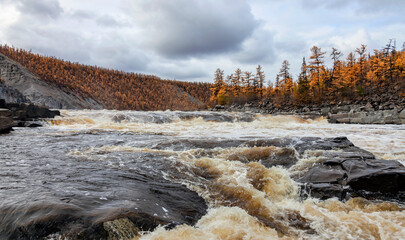 Rapid flow of water in the wild Siberian river in autumn.