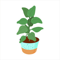 Vector illustration with home potted houseplants in a flat style. Home flowers for the interior.