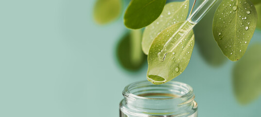 Macro shot of beautiful leaf and pipette, medicine drop falling into jar