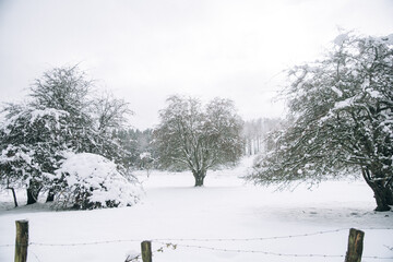 Paisaje de campo en invierno y nevado, con una barandilla en primer plano y un gran campo nado con...