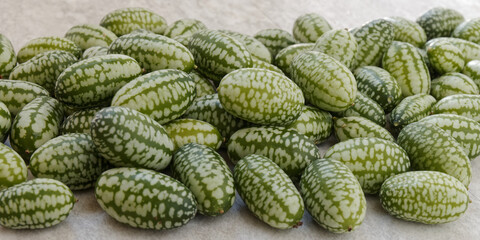 Cucamelon (Melothria scabra) vegetable pile. Organic mouse melon fruits heap.