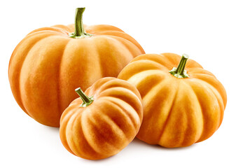 Pumpkin isolated on the white background. Fresh pumpkin Clipping path. Pumpkin macro studio photo
