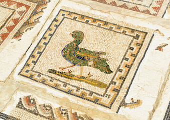 Obraz premium Mosaic in House of the Birds, Italica, Roman city near Santiponce in the province of Seville, birthplace of Emperor Trajan and origin of the family of Hadrian, Andalusia, Spain