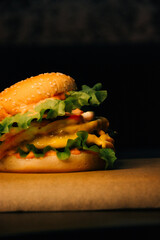 hamburger with fries