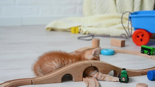 cute little ginger funny kitten cat playing at home in the nursery with children's toys paravoz on a wooden railroad. High quality 