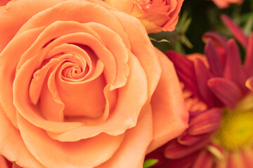 Close up of a peach colored rose in a floral arragement