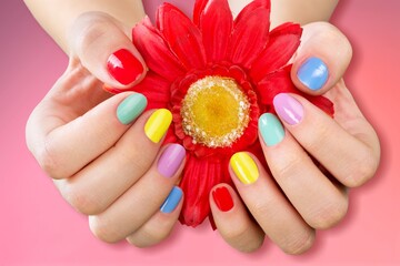 Female hands with colored nail design. Female hands hold flower