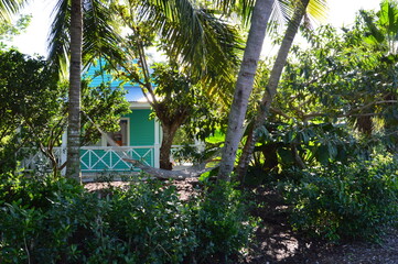 Palmtrees and behind a little house 