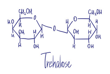 Trehalose. It is also known as mycose or tremalose. Chemical structure. Vector illustration Hand drawn