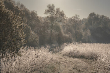 Frozen Field
October in Istra valley.