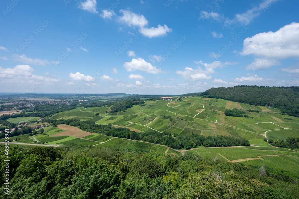 Wall mural panoramic view on green hilly vineyards near wine village chateau-chalon in jura, france