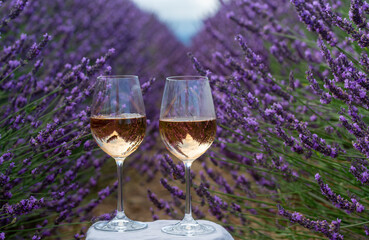 Summer in French Provence, cold gris rose wine from Cotes de Provence and colorful lavender fields on Valensole plateau, tastes and aromas of Provence, France