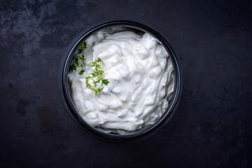 Traditioneller griechischer Tsatziki Fett Joghurt serviert mit Kresse als Draufsicht in einer modernen Design Schale mit Textfreiraum