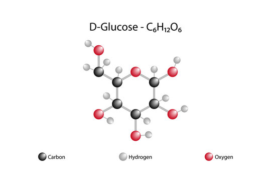 Molecular formula of D glucose. D glucose is also known as dextrose in the food industry.