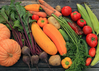 different vegetables on the wooden table