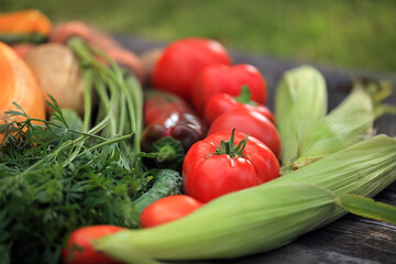 fresh vegetables on a wooden table