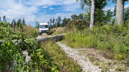 Van auto standing on impassable dirt road with lying beech trunk fallen in gale. Uprooted tree...