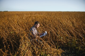 Naklejka na ściany i meble farmer agronomist in soybean field checking crops before harvest. Organic food production and cultivation.