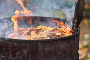 Sanitary treatment of the autumn garden. Burning of fallen sick leaves in a metal barrel. Selective focus.