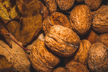 Walnuts lying on colorful autumn leaves in the grass.