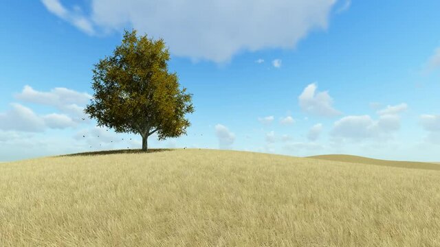 Single tree in autumn, falling leaves and yellow 