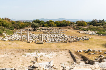 Ruins of Agora temple at the ancient Greek city Teos in Izmir province of Turkey.