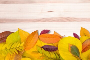 Multicolored autumn leaves on a wooden background.