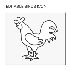  Rooster line icon. Domestic fowl with colorful feathers and strong voice. Adult male chicken. Birds concept. Isolated vector illustration. Editable stroke