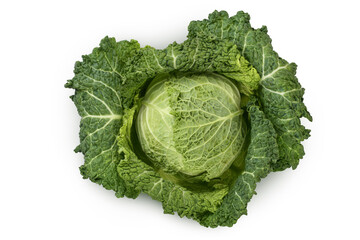 Savoy cabbage isolated on white background with clipping path and full depth of field. Top view. Flat lay