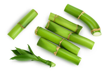 Green bamboo with leaves isolated on white background with clipping path and full depth of field. Top view. Flat lay