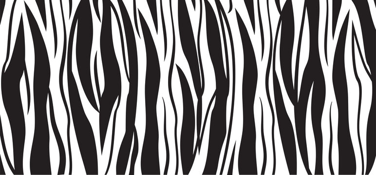 Tiger skin vector seamless pattern, black and white sebra print, stripe background. Abstract illustration